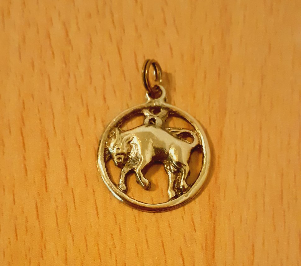 Gold 333 Anhänger Sternz Stier ca. 2,24g – Foto 2