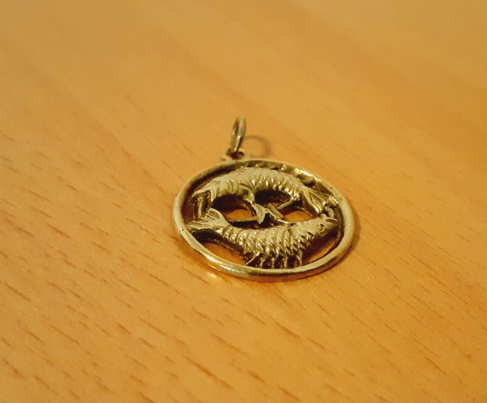 Gold 333 Anhänger Sternz Fische ca. 2,4g – Foto 2